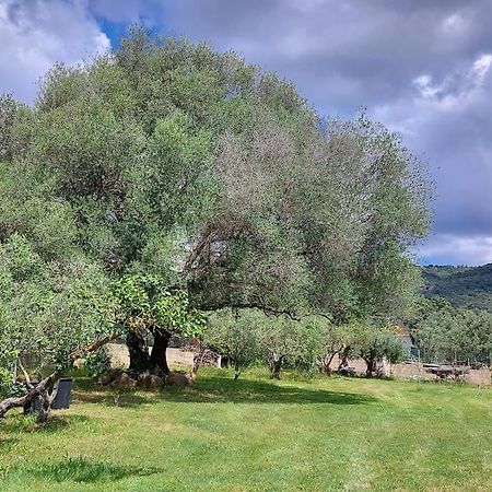 Olbia Grazioso Bilo In Periferia Villa Sole Ruiu Eksteriør billede