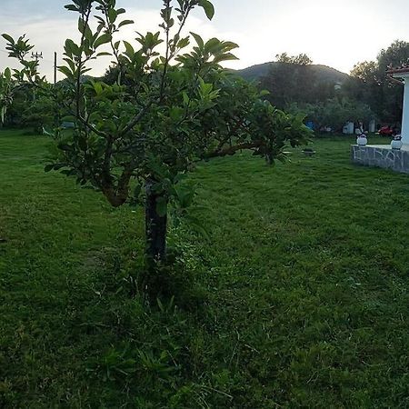 Olbia Grazioso Bilo In Periferia Villa Sole Ruiu Eksteriør billede