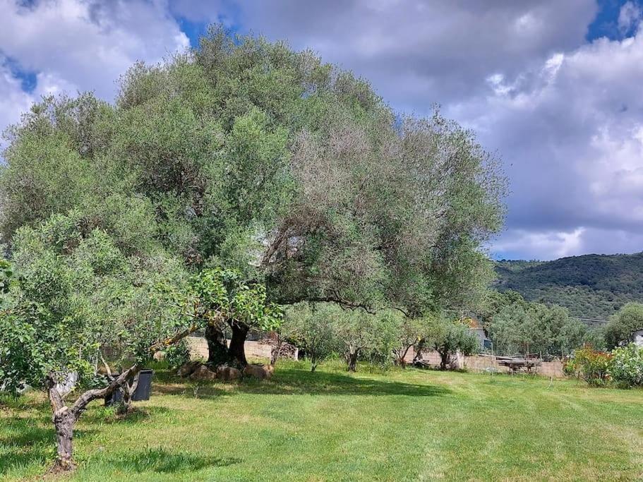 Olbia Grazioso Bilo In Periferia Villa Sole Ruiu Eksteriør billede